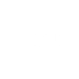 BT.dk logo