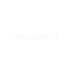 Holdsport.dk logo