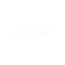 Holdsport.dk logo