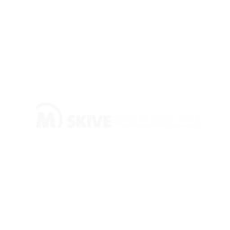 Skivefolkeblad.dk logo
